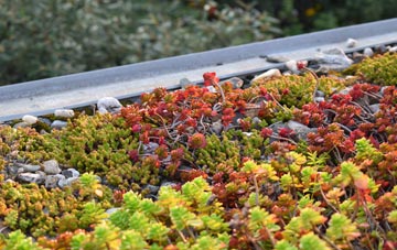 the cost of Cloud Side green roof installation