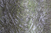 Cloud Side fibreglass roof work